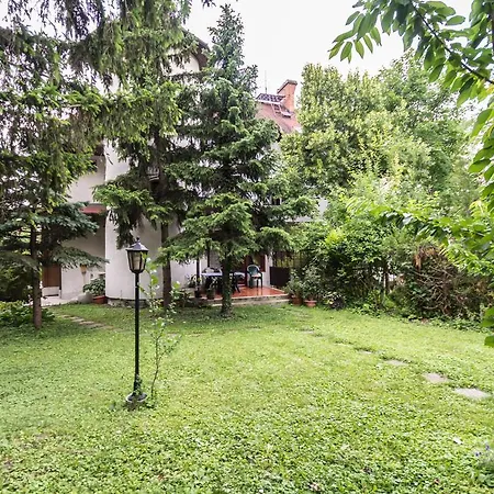 Mohacsi Budapest