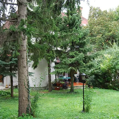 Mohacsi Budapest