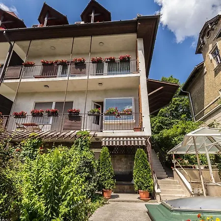 בית הארחה Mohacsi 3*