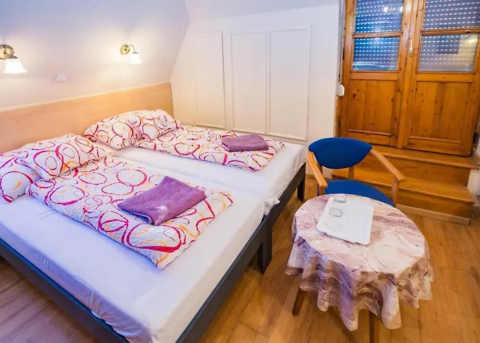 Guest house Mohacsi 3*