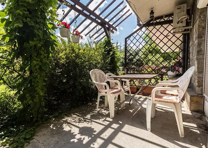Mohacsi Guest house 3*